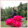Imagen de LILIANA DEL ROCIO TOSCANO ALCOSER