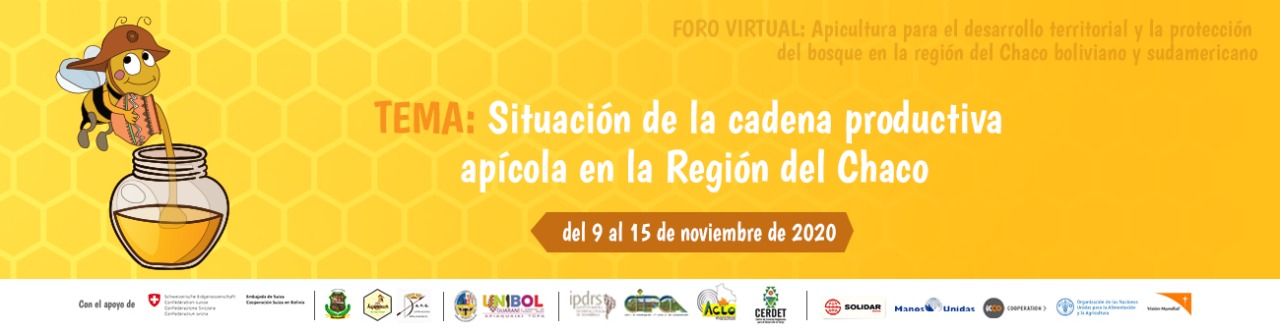 Situación de la cadena productiva en la Región del Chaco