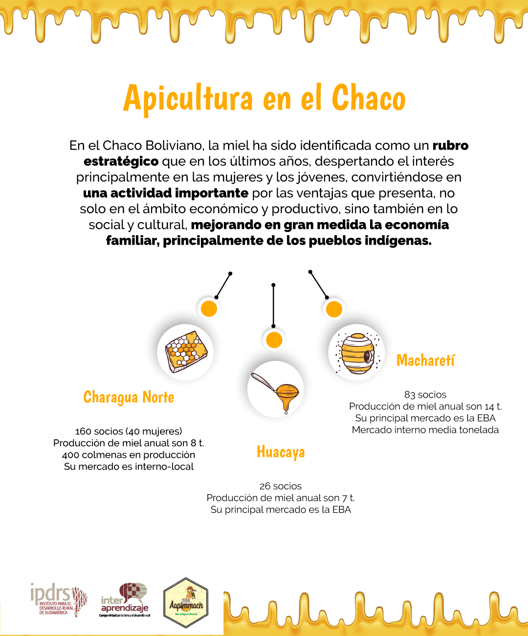 Apicultura en el Chaco