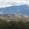 Imagen de CARLOS ORTEGA