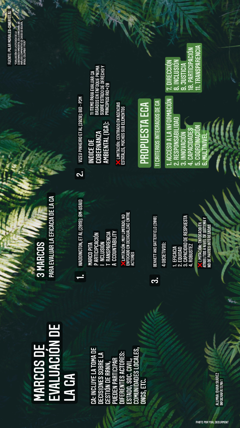Adjunto Infografia Tema 1.jpeg