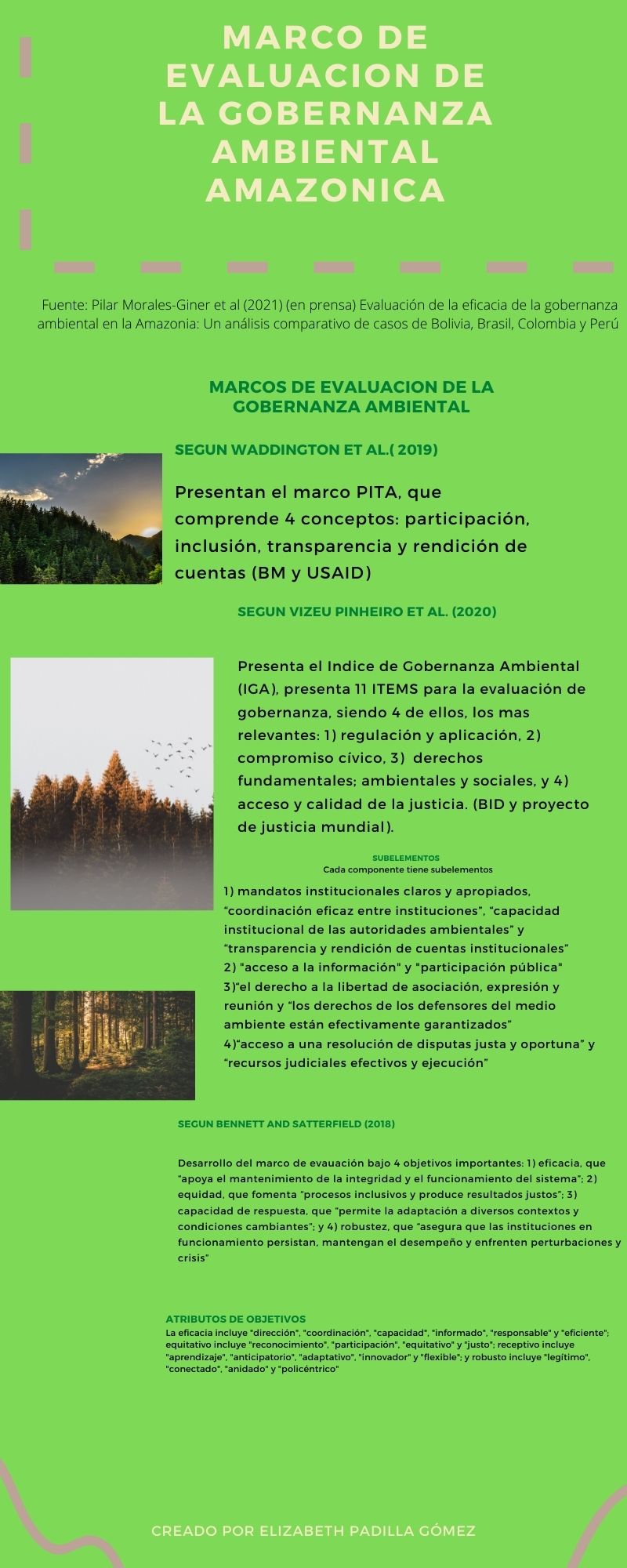 Adjunto Marco de evaluacion de la Gobernanza Ambiental amazonica.jpg